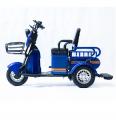  Forte CARGO-P650 